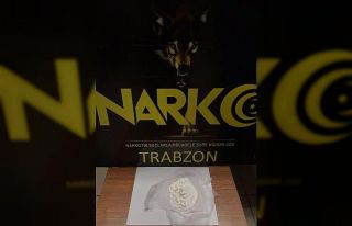 Trabzon’da 100 kg Bonzai yapılabilecek sentetik...