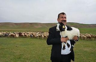 TÜDKİYEB Genel Başkanı Çelik: "Kurbanlık...