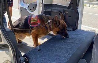 Tüm araçlar tek tek çevrildi, her yer didik didik...