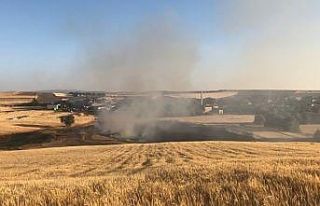 Tunceli’de 15 dönüm ekili alan yandı