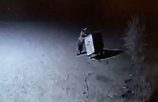 Tunceli’de ayılar, restorana geldi çöpleri karıştırırken...