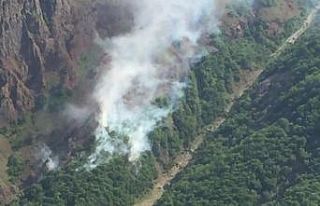 Tunceli’de orman yangını, ekipler müdahale ediyor