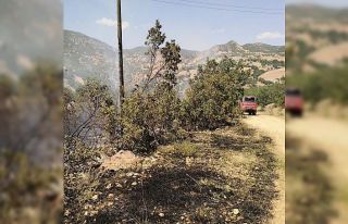 Tunceli’de ormanlık alanlardaki yangınlar söndürüldü