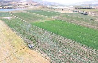 Tunceli’de sulu tarım ekonomiye 51 milyon TL katkı...
