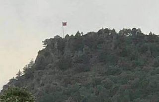 Türk bayrağını zirveye diktiler