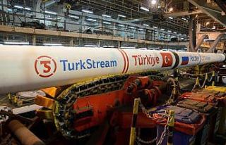 TürkAkım’da doğalgaz akışı bakım çalışması...