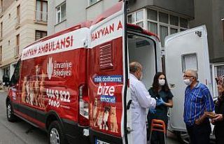 Ümraniye’de hayvan ambulansı hayat kurtarıyor