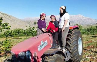 Üniversite öğrencileri gönüllü kadınlara ‘toprağın...