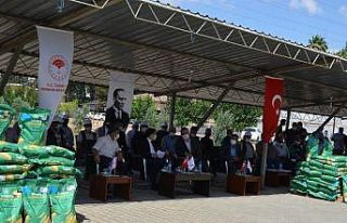 Üreticilere silajlık mısır tohumu dağıtıldı
