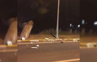 Urla’da motosiklet sürücüsü kazada hayatını...