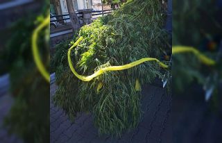 Urla’da uyuşturucu operasyonuna 1 tutuklama