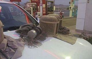 Usulsüz avlanmaları pahalıya patladı