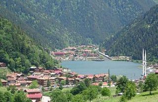 Uzungöl kıyısındaki kaçak yapıların yıkımına...