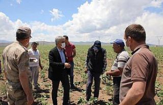 Vali Makas, çiftçileri tarlada ziyaret etti