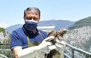 Vali Şıldak Kazdağları’nda incelemelerde bulundu