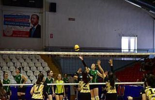 Valilik Kupası Ataspor’un