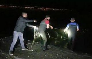Van Gölü’nde 2 ton 350 kilogram inci kefali ele...