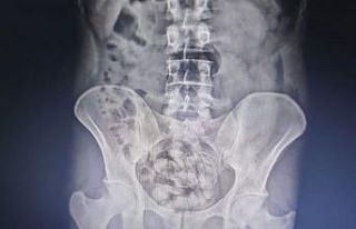 Van polisi ve MİT’ten zehir tacirlerine ortak operasyon