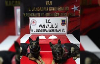 Van’da 2 kilo metamfetamin ele geçirildi