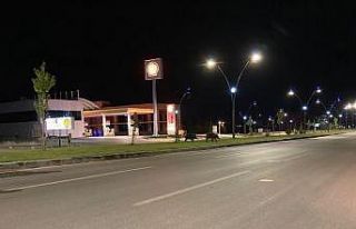 Yaban domuzları kent merkezine indi