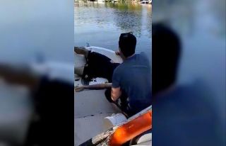 Yalova’da dereye düşen şahıs son ânda kurtarıldı