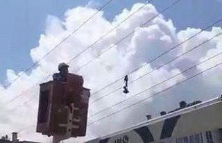 Yalova’da karga kurtarma operasyonu