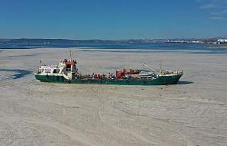 Yalova’da müsilaj temizliği 353 metreküpe ulaştı
