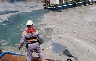 Yalova’da müsilaj temizliği başladı
