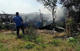 Yangın hayvanları telef etti