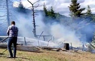 Yangında hayvanları kurtarmak isterken hastanelik...