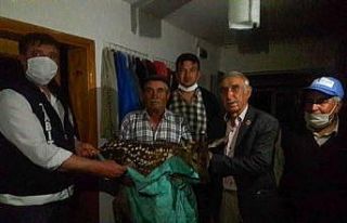 Yaralı ala geyik yavrusuna köylü sahip çıktı