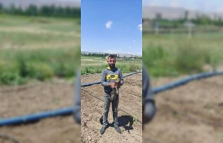 Yaralı Arı Şahin tedavi altına alındı