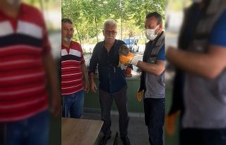 Yaralı Baykuş’u ölümden kurtardılar