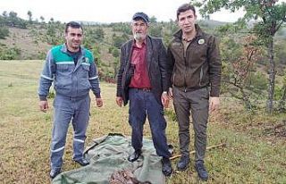 Yaralı bulduğu geyik yavrusunu sırtında 5 kilometre...