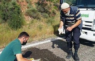 Yaralı kaplumbağaya can suyu