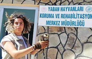 Yaralı kuşlar tedavi altına alındı