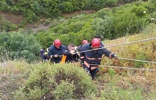 Yaralıları kurtarmak için seferber oldular