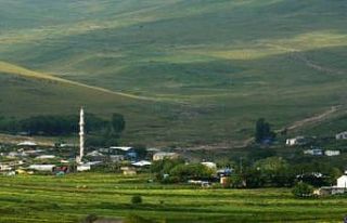 Yasaklar kalktı vakalar arttı