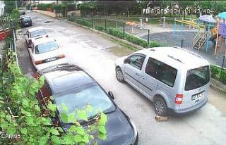 Yavru köpeği ezen sürücü cezasız kalmadı