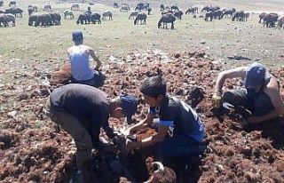 Yaylada kırkım dönemi