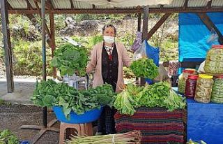 Yaylada yöresel organik pazar açıldı