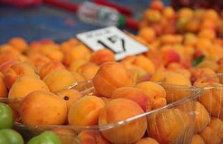 Yaz meyveleri arasında en pahalı ’Kayısı’