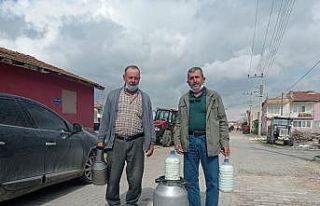 Yem fiyatlarındaki artış süt üreticilerini endişelendiriyor