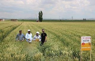 ‘Yerli ve milli tohumların ulaşmadığı çiftçi...