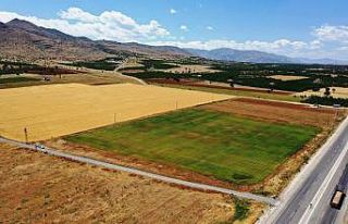 Yeşilyurt Belediyesi’nin tarımsal üretimleri...