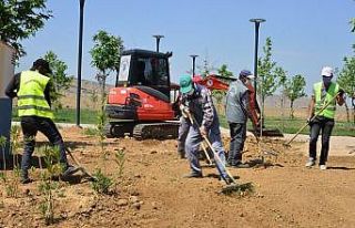Yeşilyurt’ta yeşillendirme hizmetleri hız kazandı