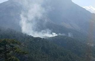 Yıldırım düşmesi sonucu orman yangını çıktı