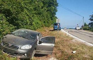 Yoldan çıkan otomobil şarampolde devrildi: 1 yaralı