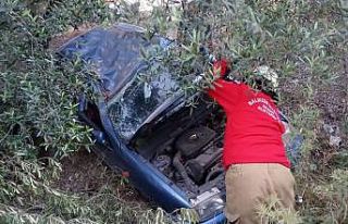 Yoldan çıkan otomobil zeytin bahçesine girdi