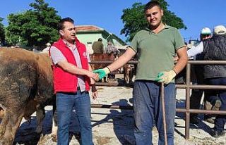 Yozgat’ta kurbanlıklar görücüye çıktı